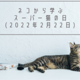 ネコから学ぶ【スーパー猫の日】（2022年2月22日）