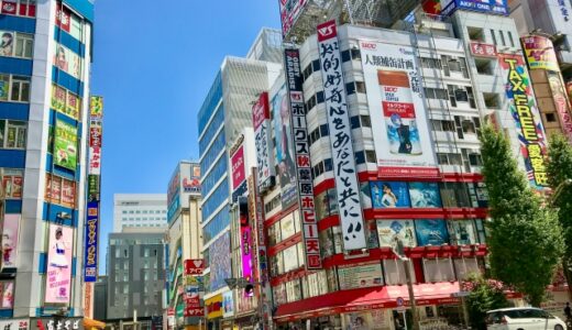 おたく婚活アレコレ ～趣味がつなぐ新しいカタチの結婚～